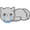 Cat Fullmoon 8