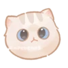 Expressive Cat 9
