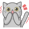 Cat Fullmoon 10