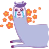 Drama Llama 8