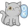 (
K
