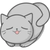 Cat Fullmoon 16