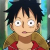 Monkey_D_Luffy 8