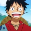 Monkey_D_Luffy 9