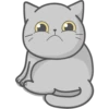Cat Fullmoon 17