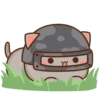 Cutie Cat V2 6