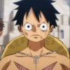 Monkey_D_Luffy 10