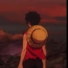 Monkey_D_Luffy 11