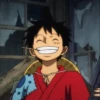 Monkey_D_Luffy 12