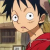 Monkey_D_Luffy 13