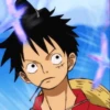 Monkey_D_Luffy 14