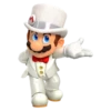 Mario & Luigi 8