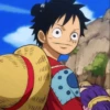 Monkey_D_Luffy 17