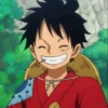 Monkey_D_Luffy 18