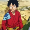Monkey_D_Luffy 19