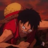 Monkey_D_Luffy 21