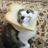 Gɑtitos 13