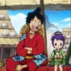 Monkey_D_Luffy 23