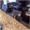 Cats 19