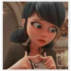 miraculous ladybug 14