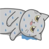 Cat Fullmoon 22