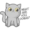 WHAT
ARE
you
DOING?