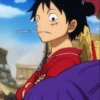 Monkey_D_Luffy 25