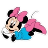 Minnie & Mickey 17