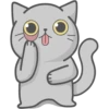 Cat Fullmoon 26