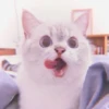 Kitten's Mood 17