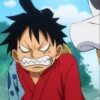 Monkey_D_Luffy 28