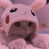 Kitten's Mood 23