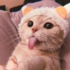 Kitten's Mood 25
