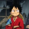 Monkey_D_Luffy 30