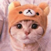 Kitten's Mood 26