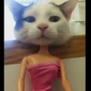 Kucing tetangga 26