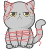 Cat Fullmoon 28