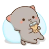Cutie Cat V2 24