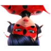 Ladybug - Miraculous 24