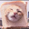 Kitten's Mood 29