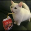 토피넛라떼
EBS 룸
25