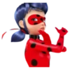 Ladybug - Miraculous 25