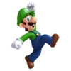 Mario & Luigi 29
