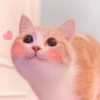 Kitten's Mood 30