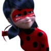 Ladybug - Miraculous 28