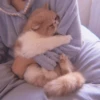 MEOW 30