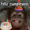 🎊 Feliz Cumpleaños 🎊 5