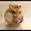 MousesHealth
MORE
MUSCLE
WILL SSED
7 TOTAL
ANUTE