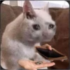 everyday mood 7