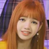 Lisa meme 6